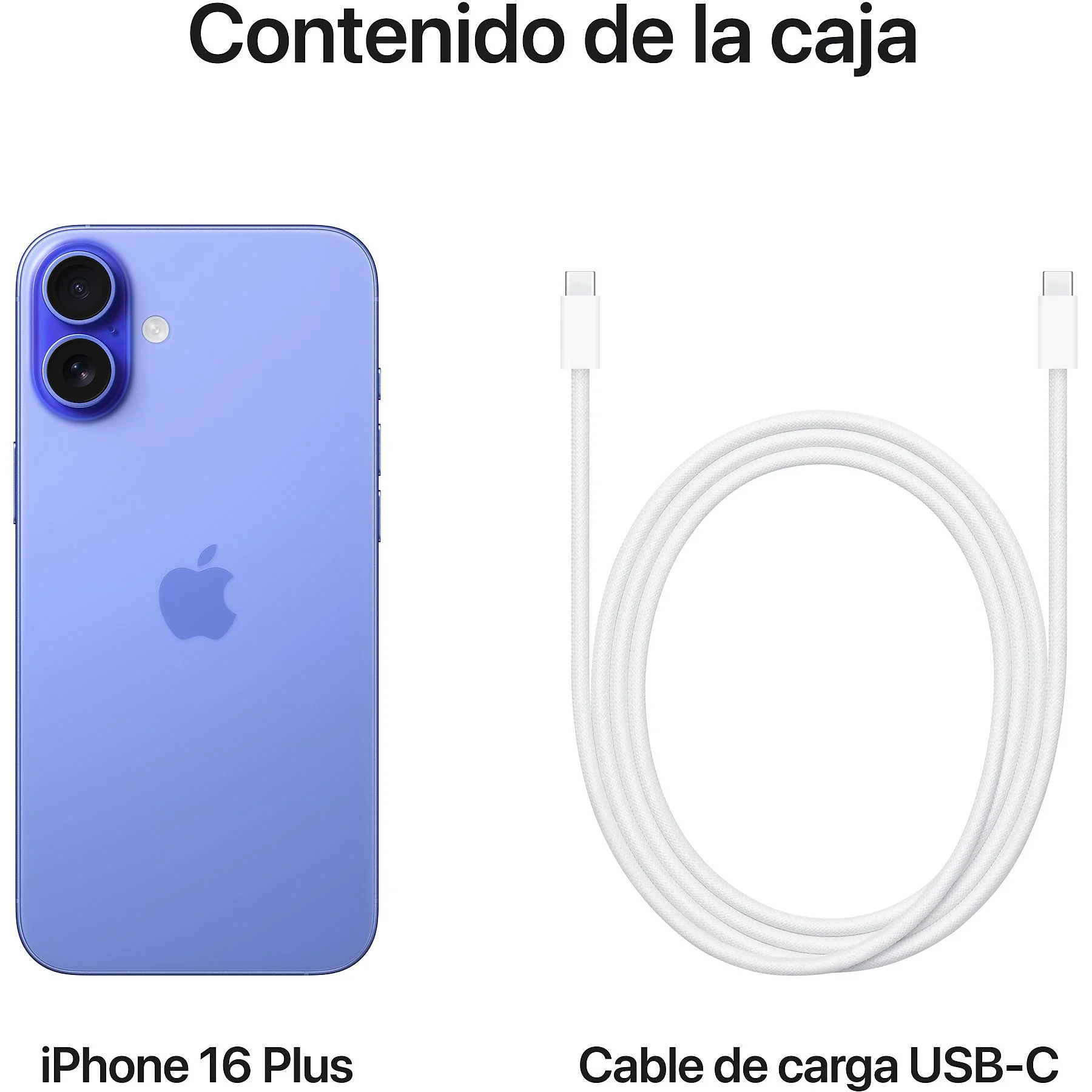 ASSET_MMS_152230007 1